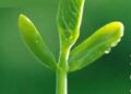 Luật nhân quả: Người có nhân phẩm tốt căn bản sẽ không bị thiệt 12 Luật nhân quả: Người có nhân phẩm tốt căn bản sẽ không bị thiệt
