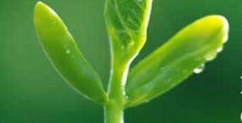 Luật nhân quả: Người có nhân phẩm tốt căn bản sẽ không bị thiệt