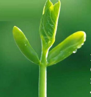 Luật nhân quả: Người có nhân phẩm tốt căn bản sẽ không bị thiệt 1 Luật nhân quả: Người có nhân phẩm tốt căn bản sẽ không bị thiệt